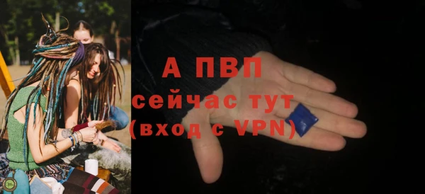 трава Абаза