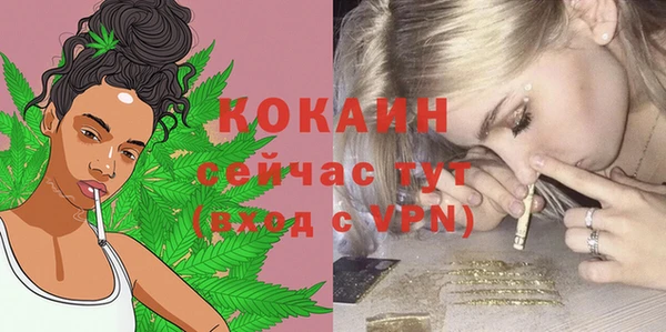 ГАЛЛЮЦИНОГЕННЫЕ ГРИБЫ Сатка
