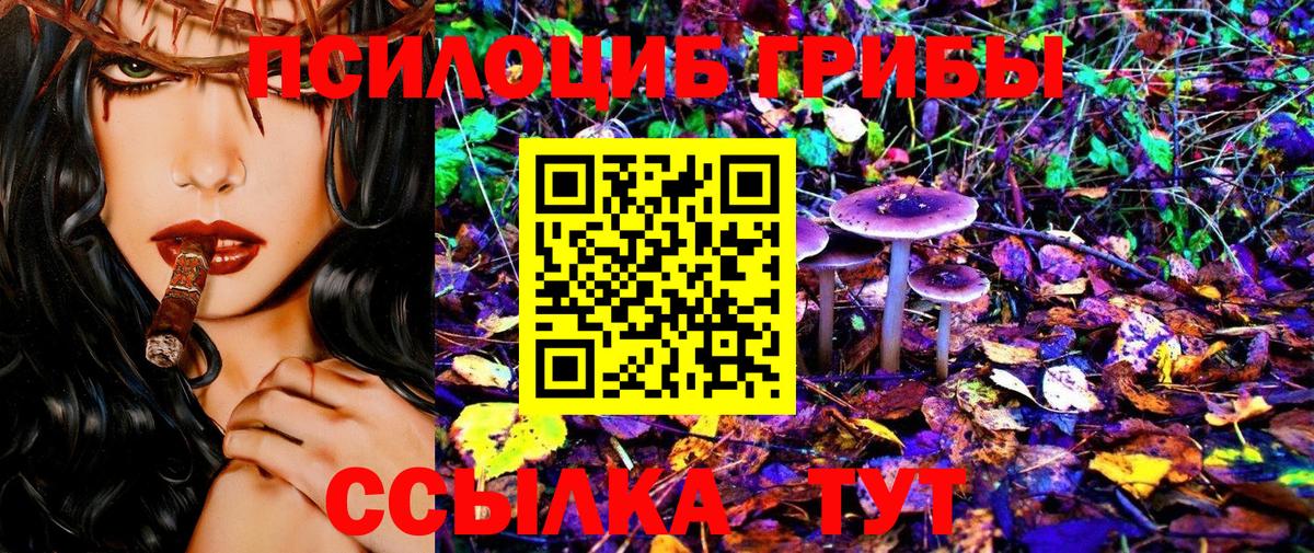 Галлюциногенные грибы мухоморы Алейск