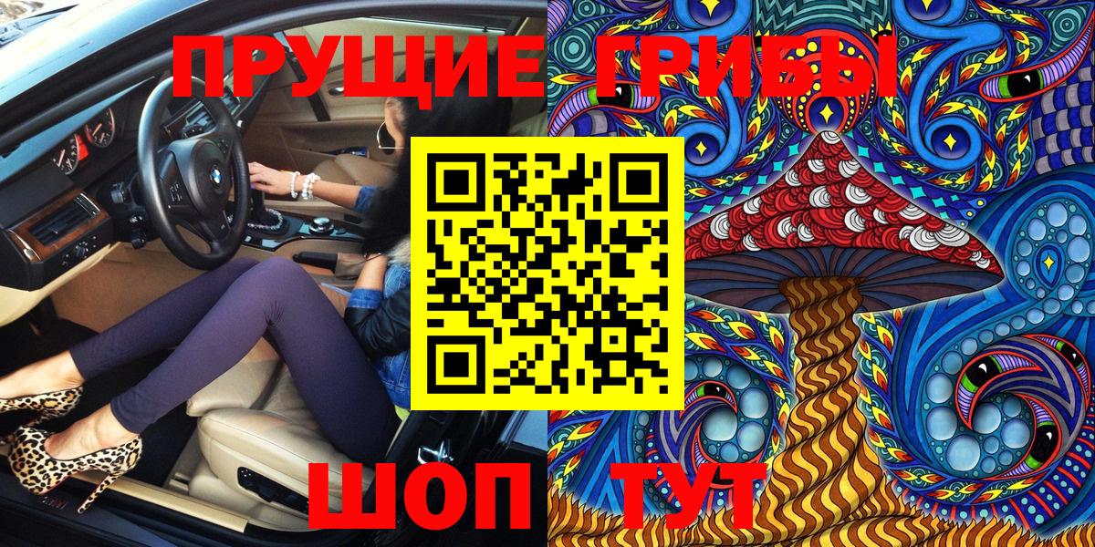 Галлюциногенные грибы Psilocybe  Вход с VPN  Алейск 